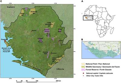 A framework for application of the landscape approach to forest conservation and restoration in Sierra Leone
